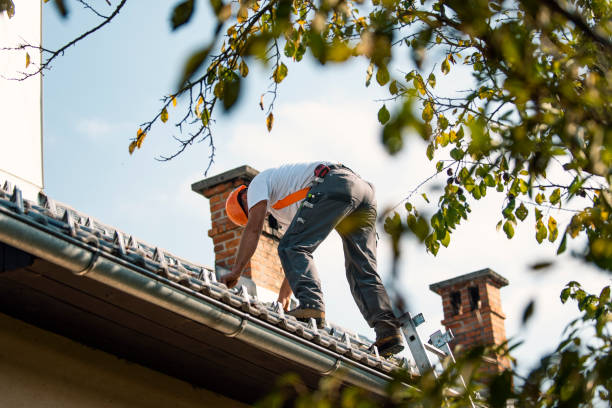 Best Emergency Roof Repair Services  in Minot Af, ND