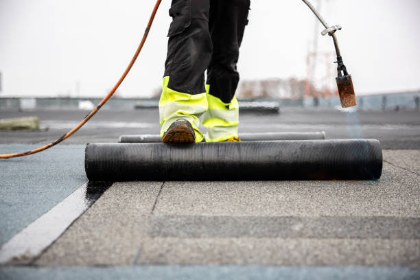 Best Asphalt Shingle Roofing  in Minot Af, ND