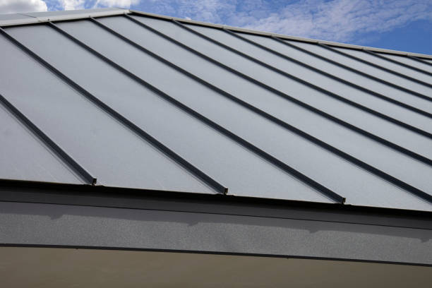 Best Roof Maintenance and Cleaning  in Minot Af, ND